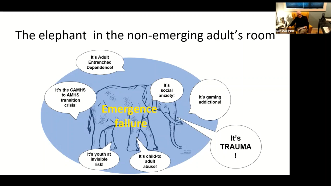 Non-Transition: From youth at invisible risk to invisible adult children (228 min.)